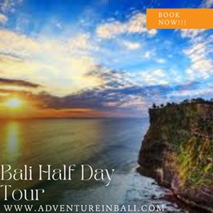 Bali Half Day Tour