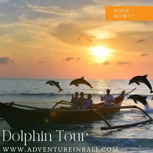 Lovina Dolphin Tour